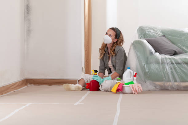 Reliable Mold Remediation contractor in Franklin, TN by WQB Mold Removal